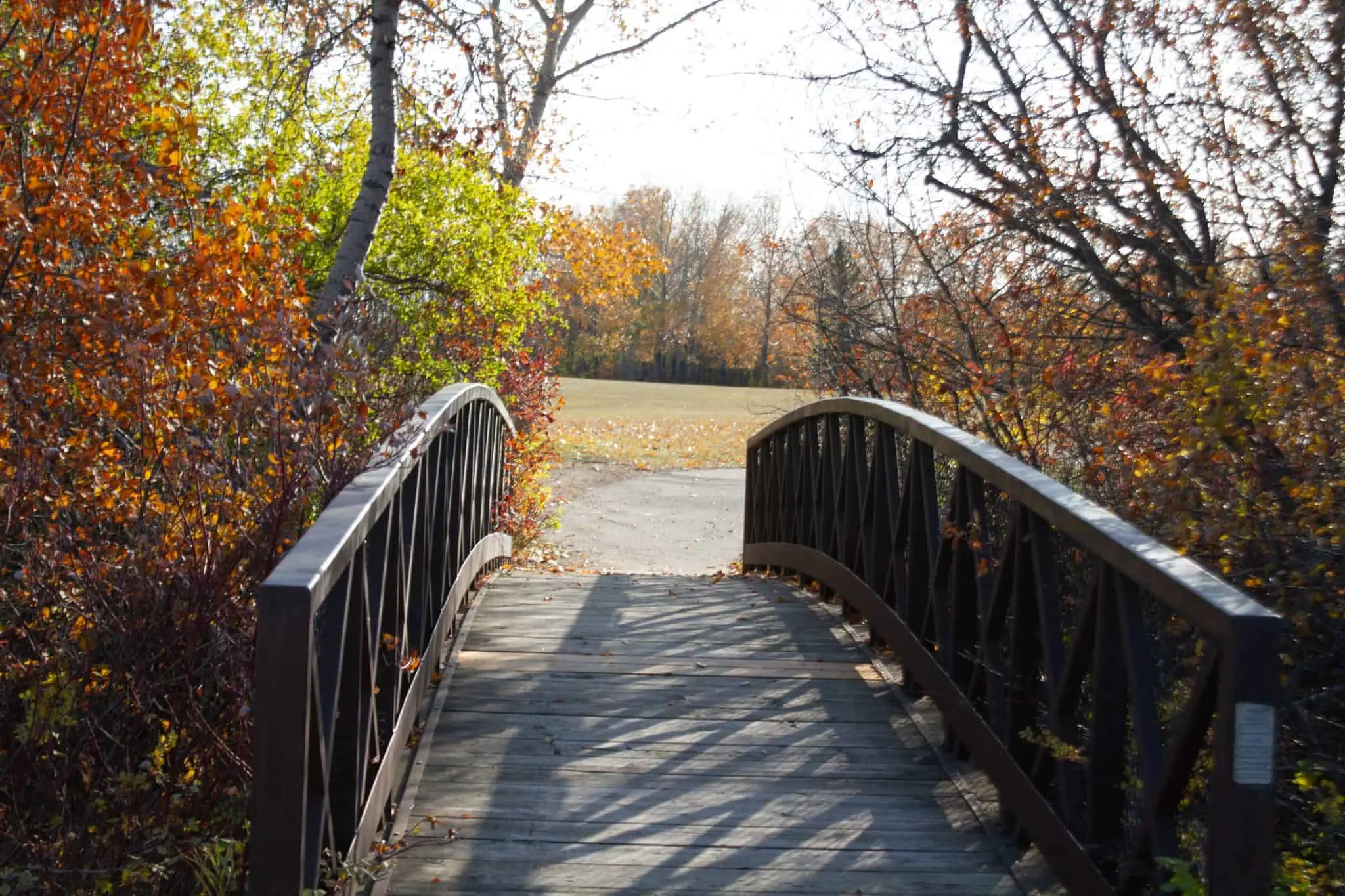 Wooden footbridge along a tree-lined trail in Meewasin Park during autumn in Saskatoon.