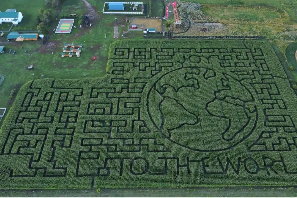 Aerial view of the Youth Farm Corn Maze near Saskatoon, featuring a large maze design carved into a cornfield.