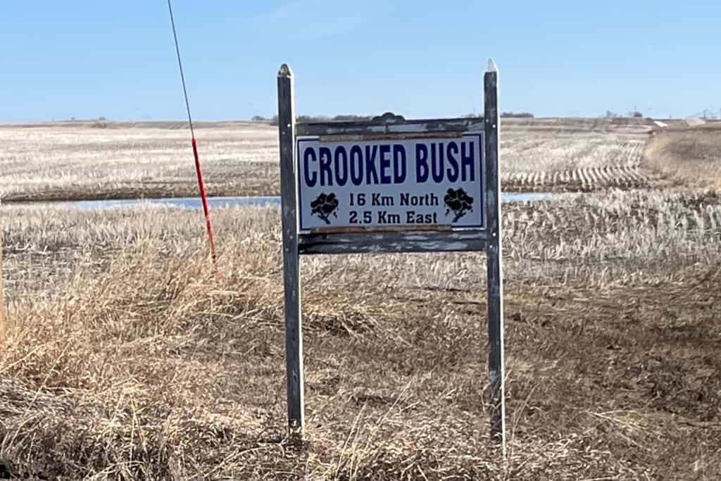 The Crooked Bush Sign in the middle of a field announcing “Crooked Bush 16 km North, 2.5 km East