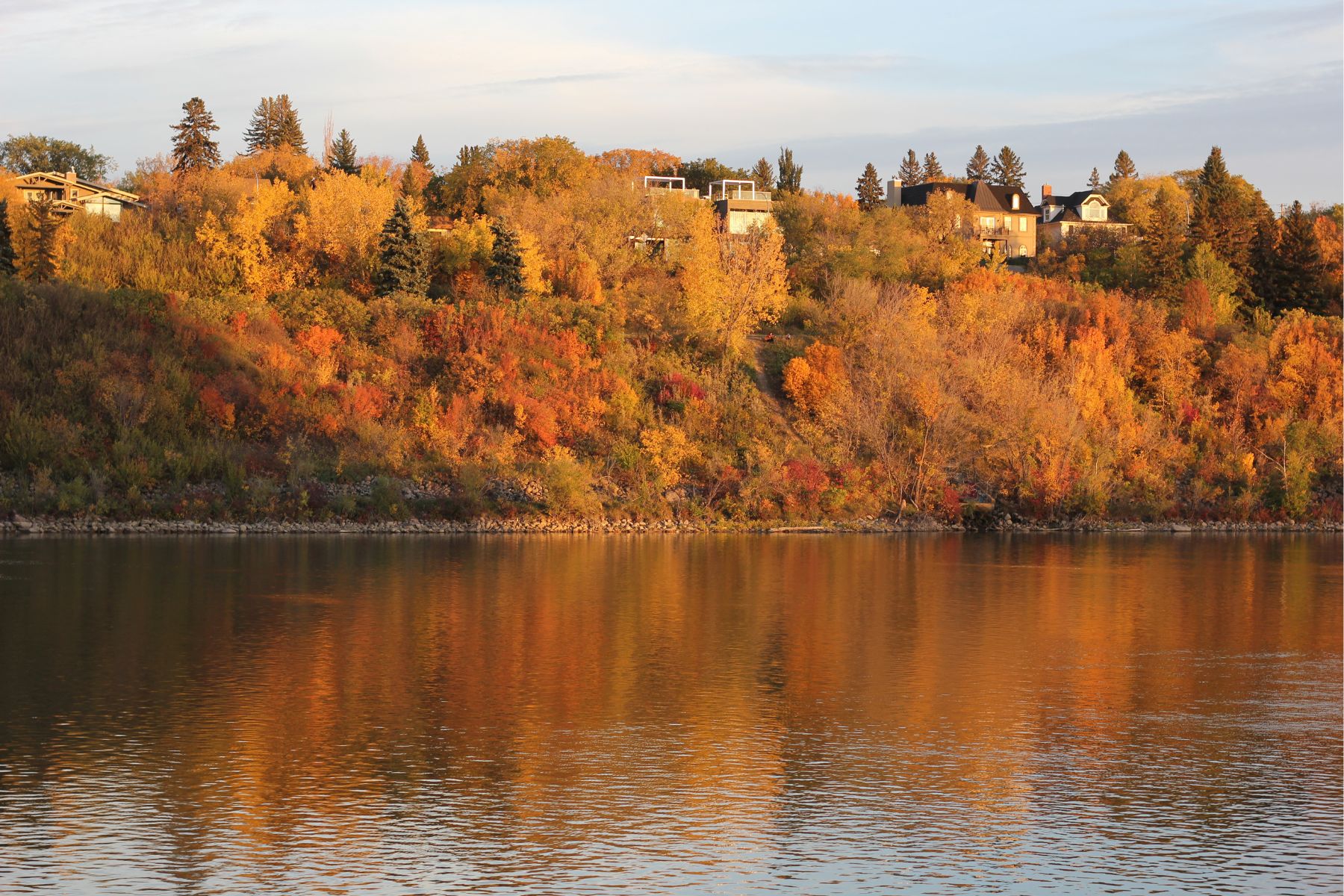 Where to Stay in Saskatoon View of Nutana neighbourhood in Saskatoon during autumn, with colorful fall foliage and houses overlooking the South Saskatchewan River.