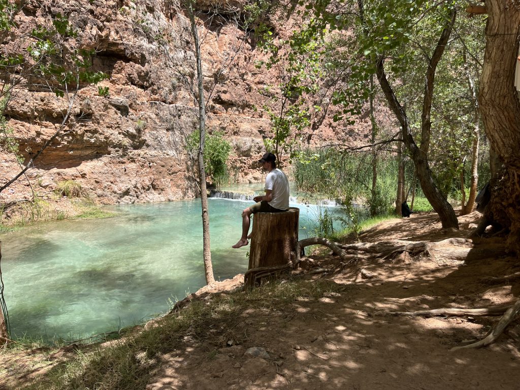 Joshua sitting on a tree stump overlooking Havasu Creek