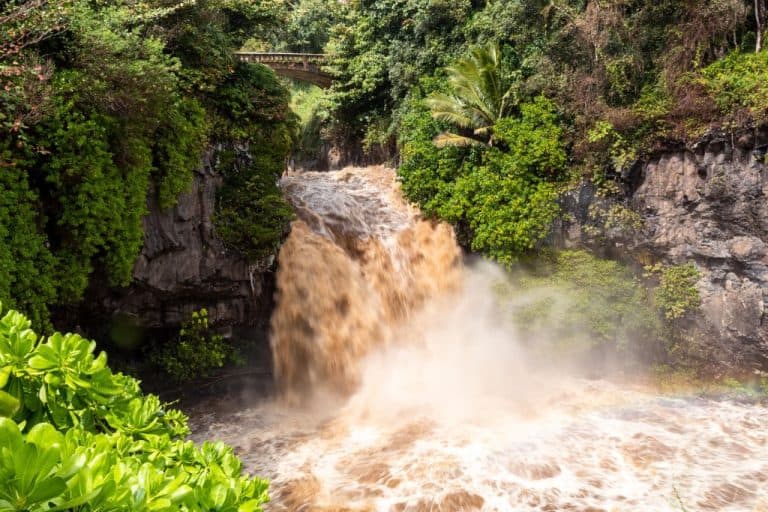 A Complete Hiker’s Guide to Flash Flood Safety: Lessons from the Trail