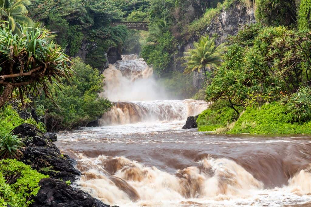 Flashflood safety Muddy brown waters flooding a canyon with greenery on either side