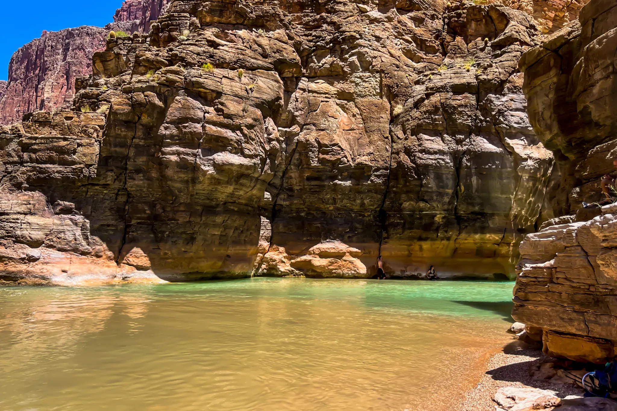 Standing at the Havasupai Confluence beneath towering canyon walls, with green-blue Havasu Creek flowing toward the Colorado River.