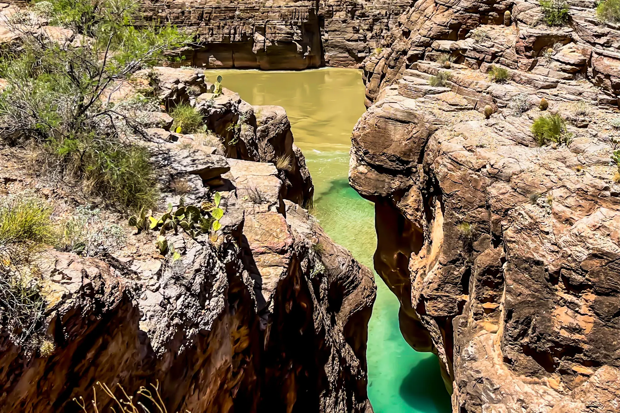 View of the Havasupai Confluence from above, where turquoise Havasu Creek meets the muddy Colorado River between narrow canyon walls.