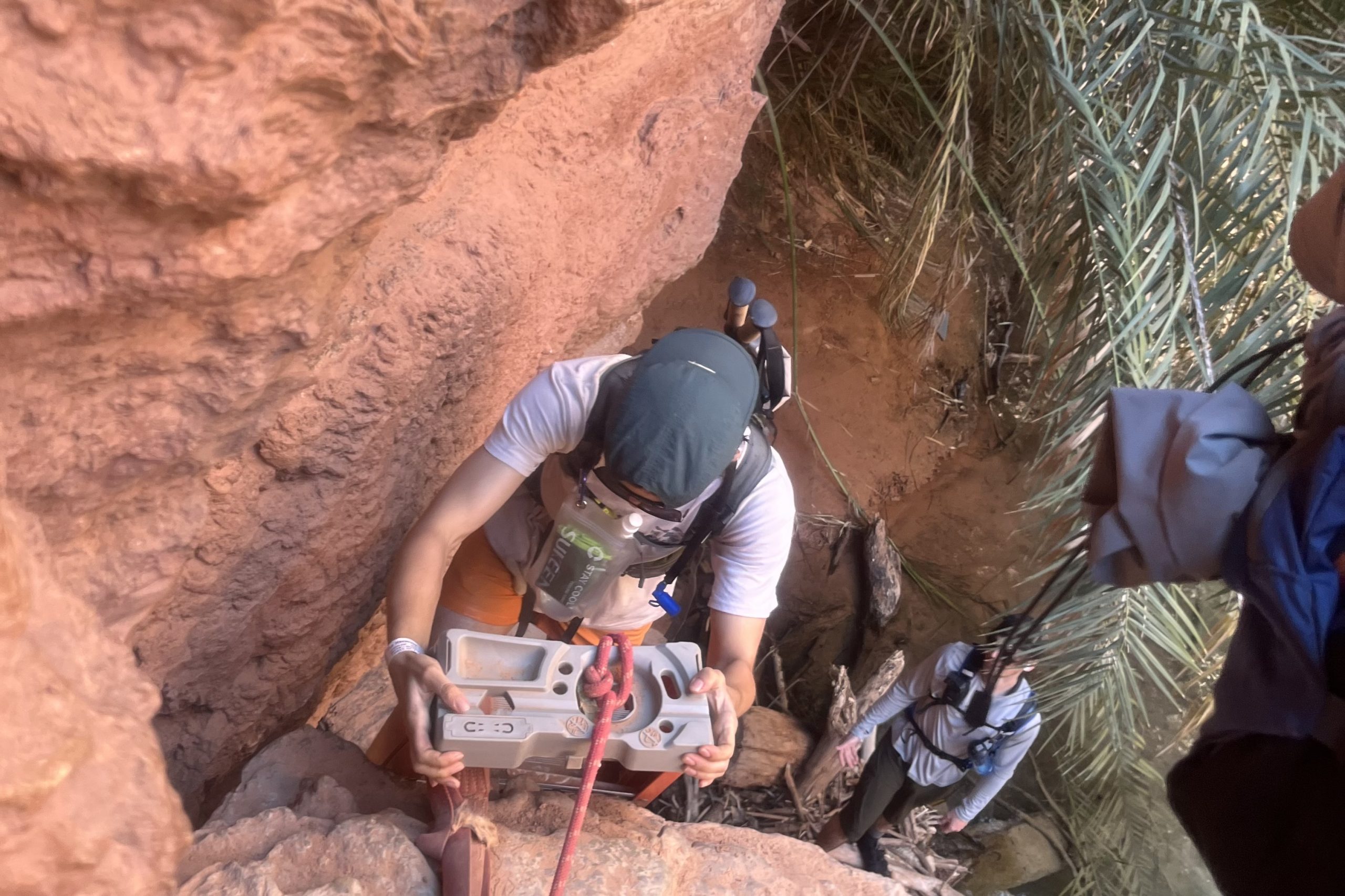 Hiker ascending a ladder on the trail to Beaver Falls below Mooney Falls.