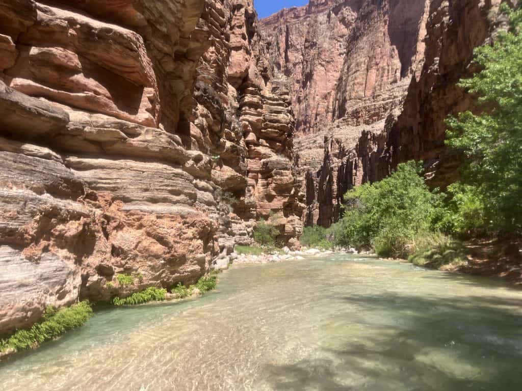 Havasupai Confluence Havasu Creek winding between the towering canyon walls with greenery lining the trail.