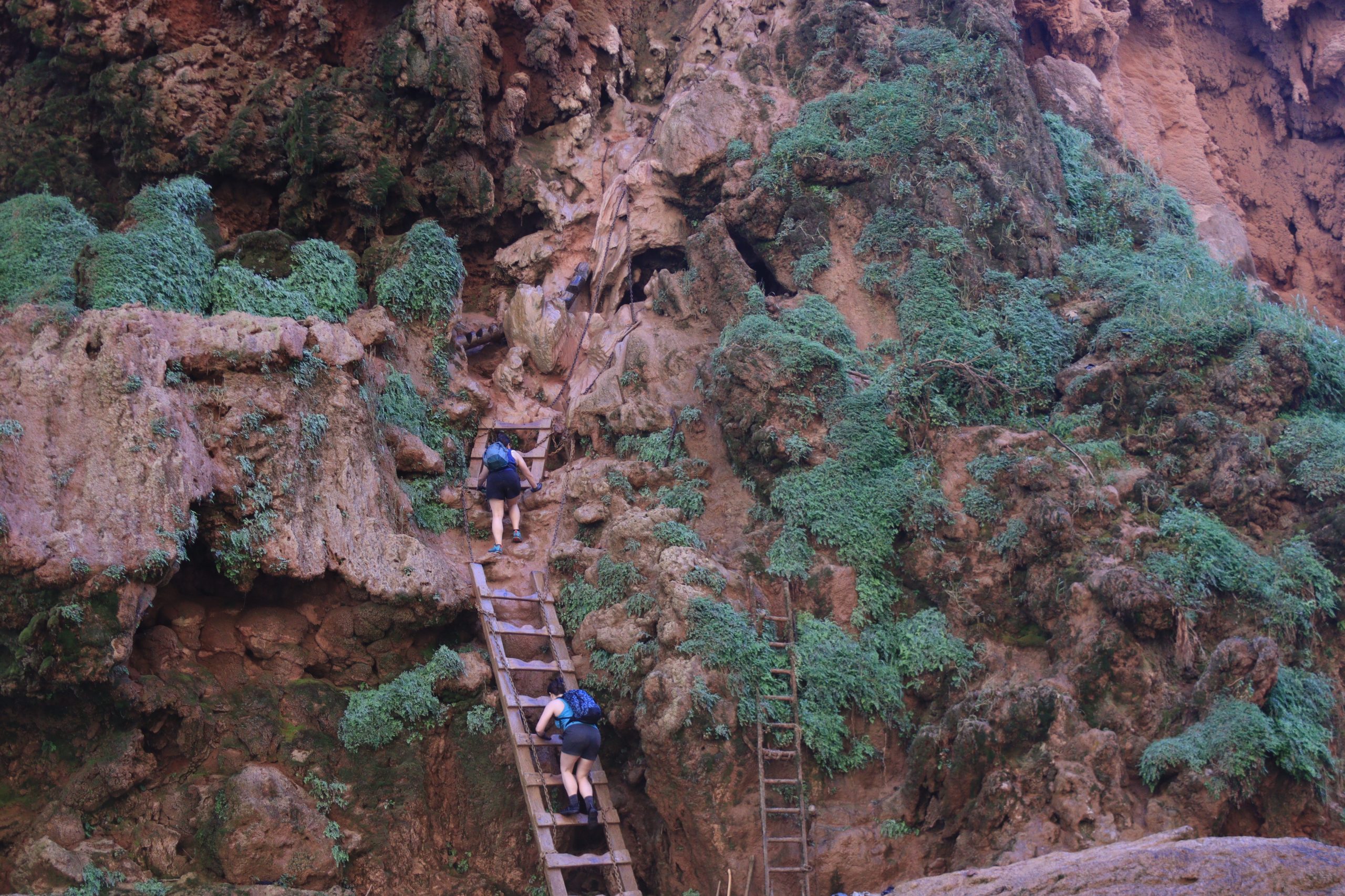 Hikers on the ladders going down into Mooney Falls