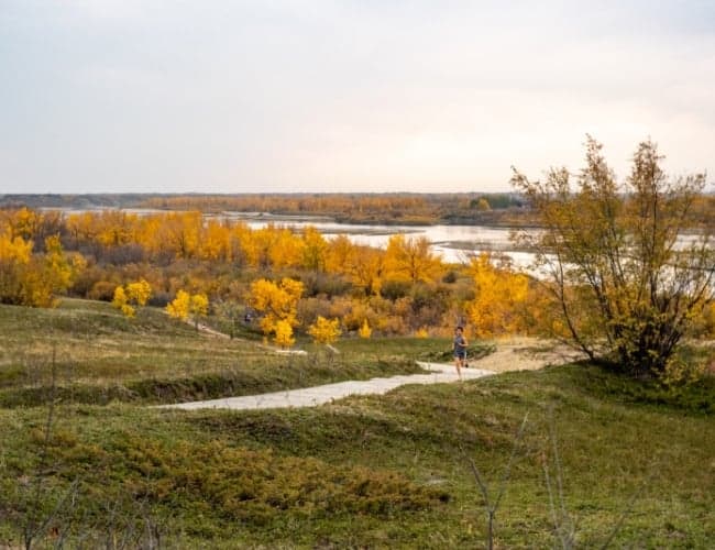 Best Activities in Saskatoon