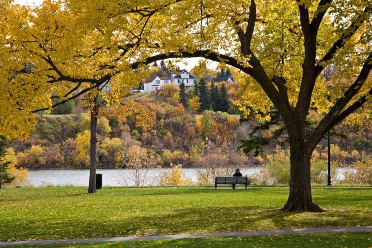 25+ Free Things to Do in Saskatoon (Local Year Round Guide)