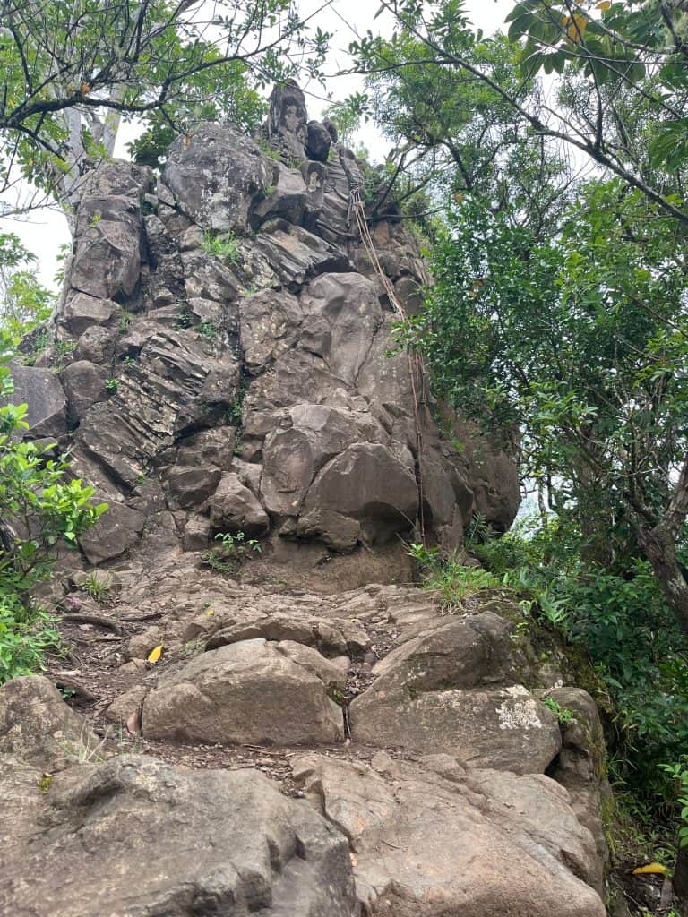 Large boulder section of Olomana Trail before the first peak with multiple ropes hanging down to assist with the climb up.