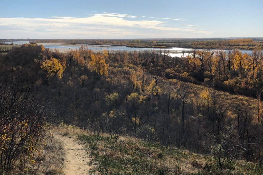 Free things to do in Saskatoon Fall foliage with Paradise Beach in the background and a trail from Cranberry Flats in the foreground