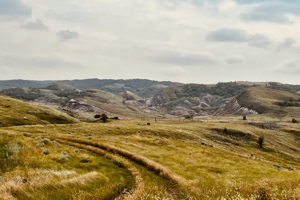 Big Muddy Badlands Saskatchewan the trail leading into the Claybank Badlands