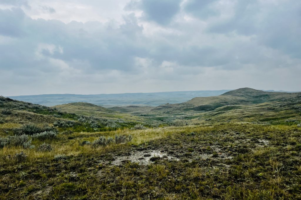 Valley of 1000 Devils View over the valley of 1000 Devils showing the badlands in the distance and wild grasses and shrubs in the foreground.