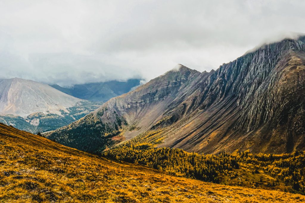View from Pocaterra Trail with mountains in the background, golden larches lining the valley, and Pocaterra’s golden slopes in the foreground