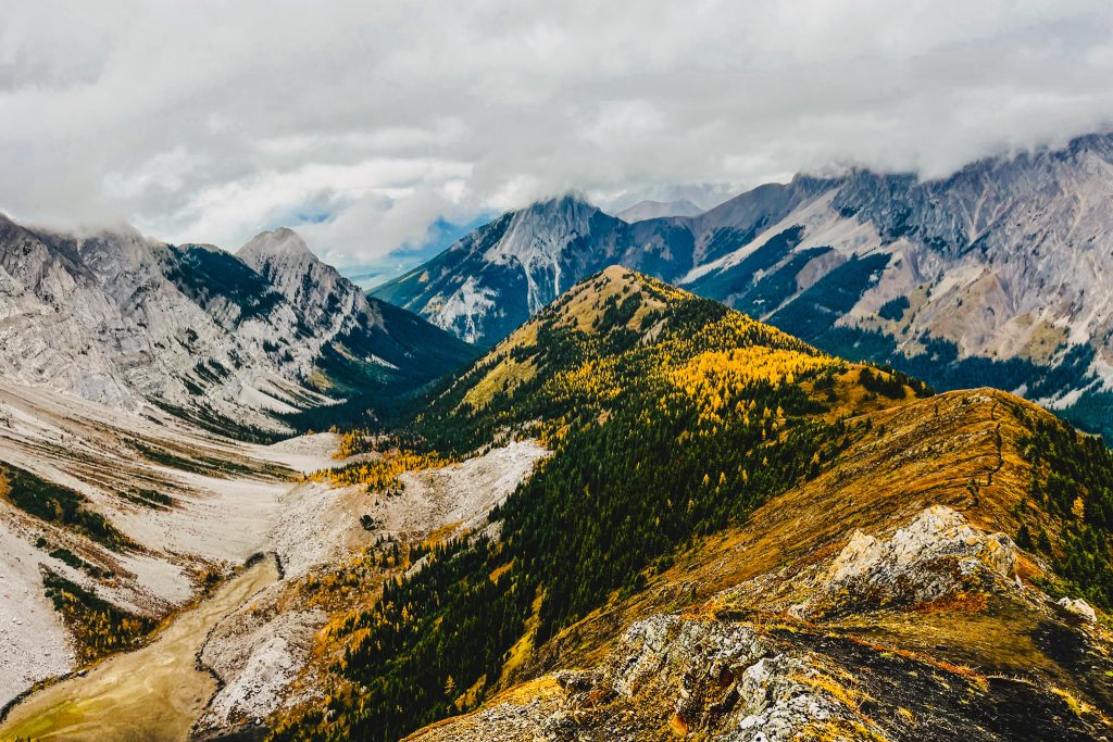 View of Pocaterra Ridge lined with golden larches and distant mountains in the background