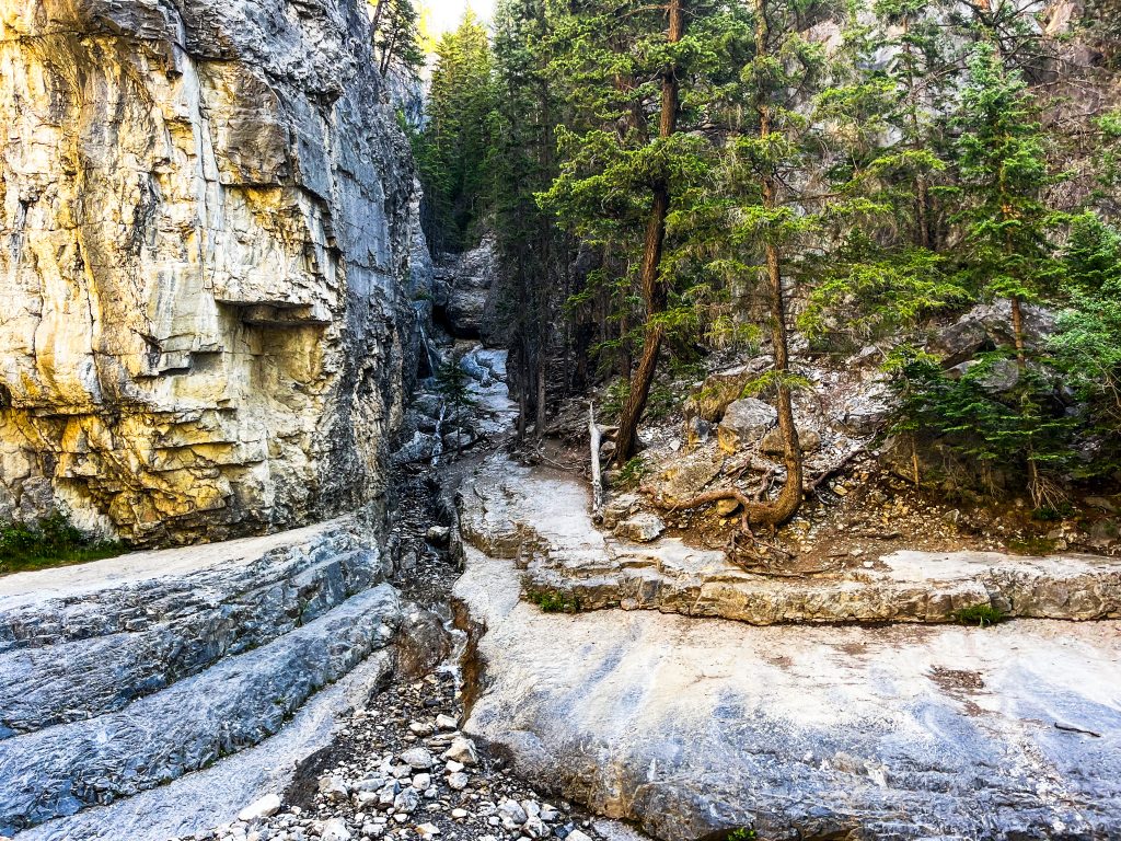 Off the beaten path Kananaskis hikes a tail leading to a small waterfall. Trees and mountain on one side, and canyon walls on the other side.