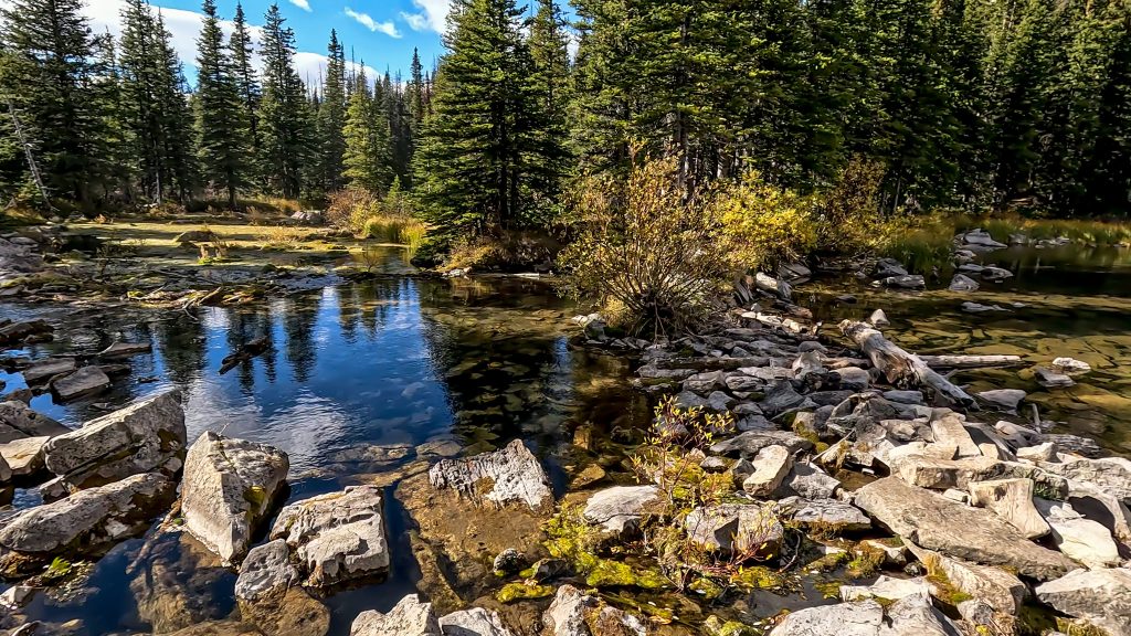 off the beaten path kananaskis hikes Crystal clear water of Picklejar Lake. large rocks in the foreground and pine trees in the background reflecting in the water.