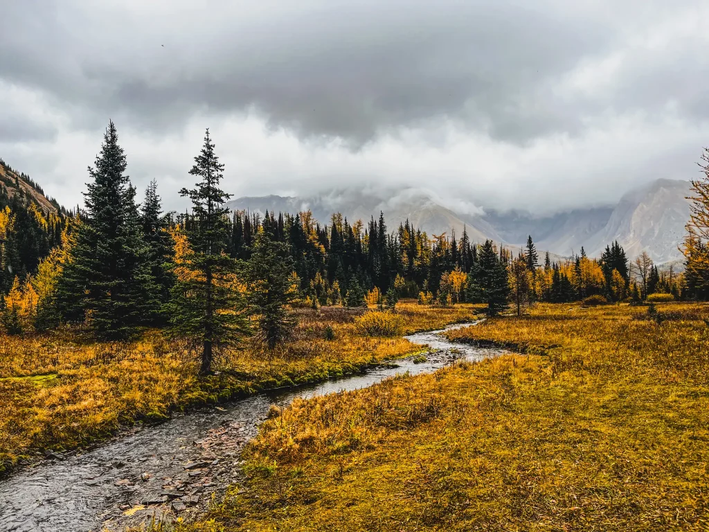 Kananaskis larch hikes