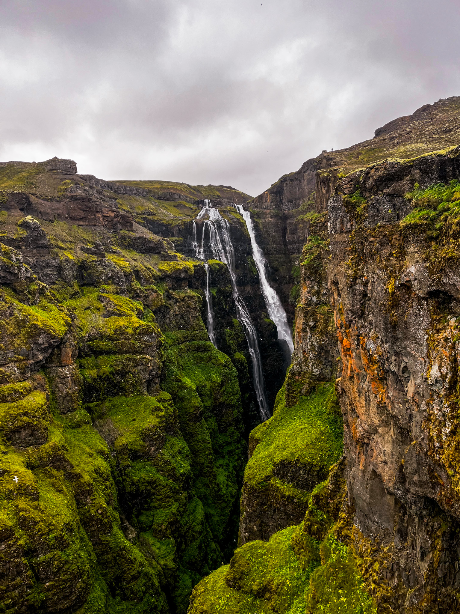 Glymur waterfall dropping in multiple streams down a steep, narrow green canyon framed by tall basalt cliffs.