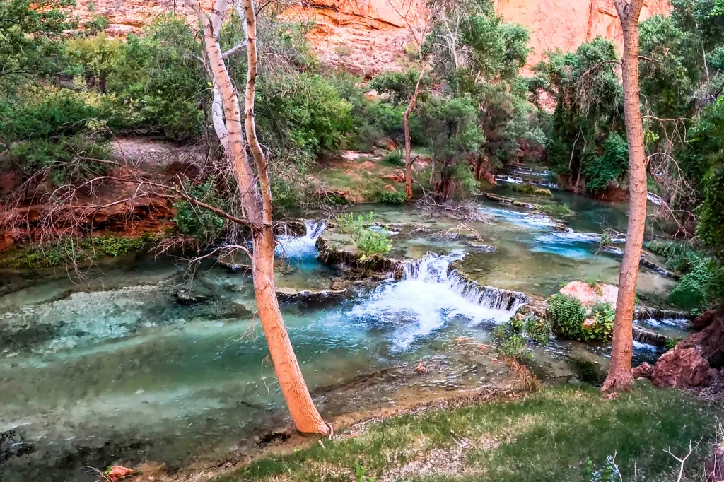 Havasu Creek with clear turquoise water flowing through red canyon walls and trees on the hike to the Havasupai Confluence