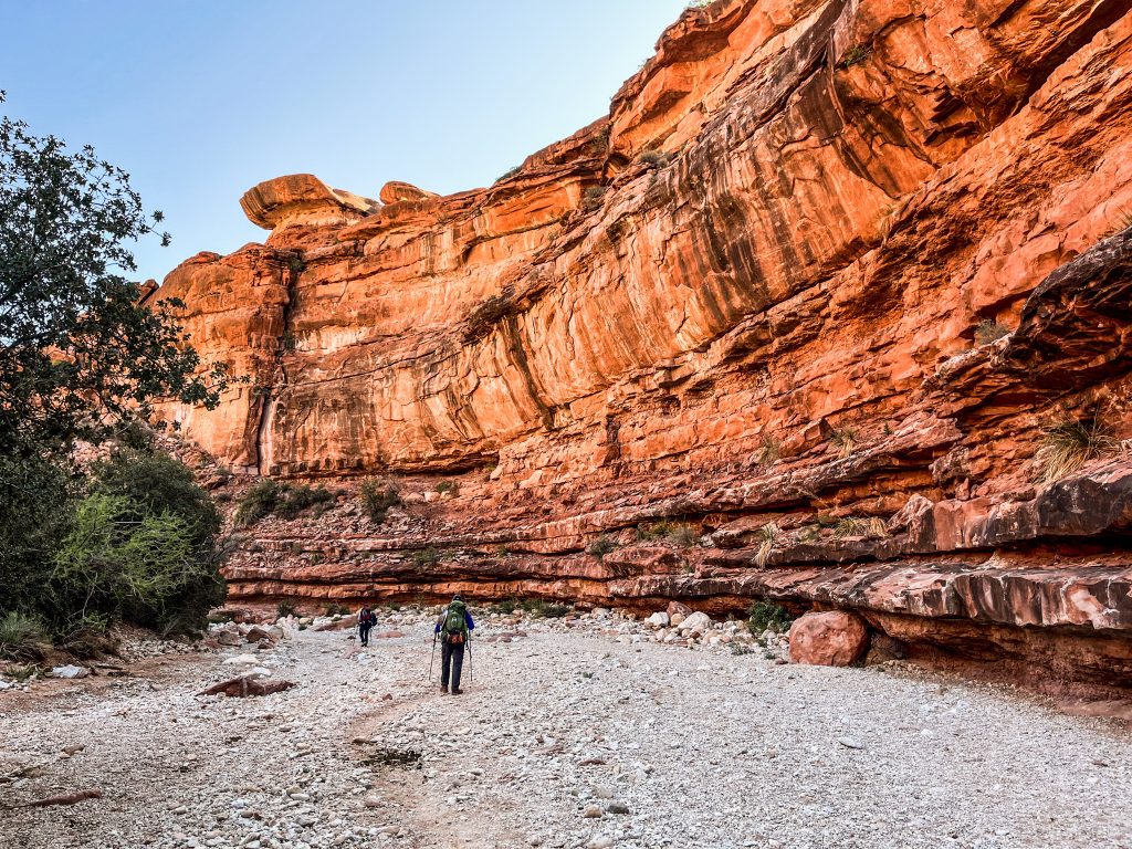 Hikers walking along a wide canyon wash beneath towering red rock walls on the Havasupai trail, showing scale, exposure, and limited shade