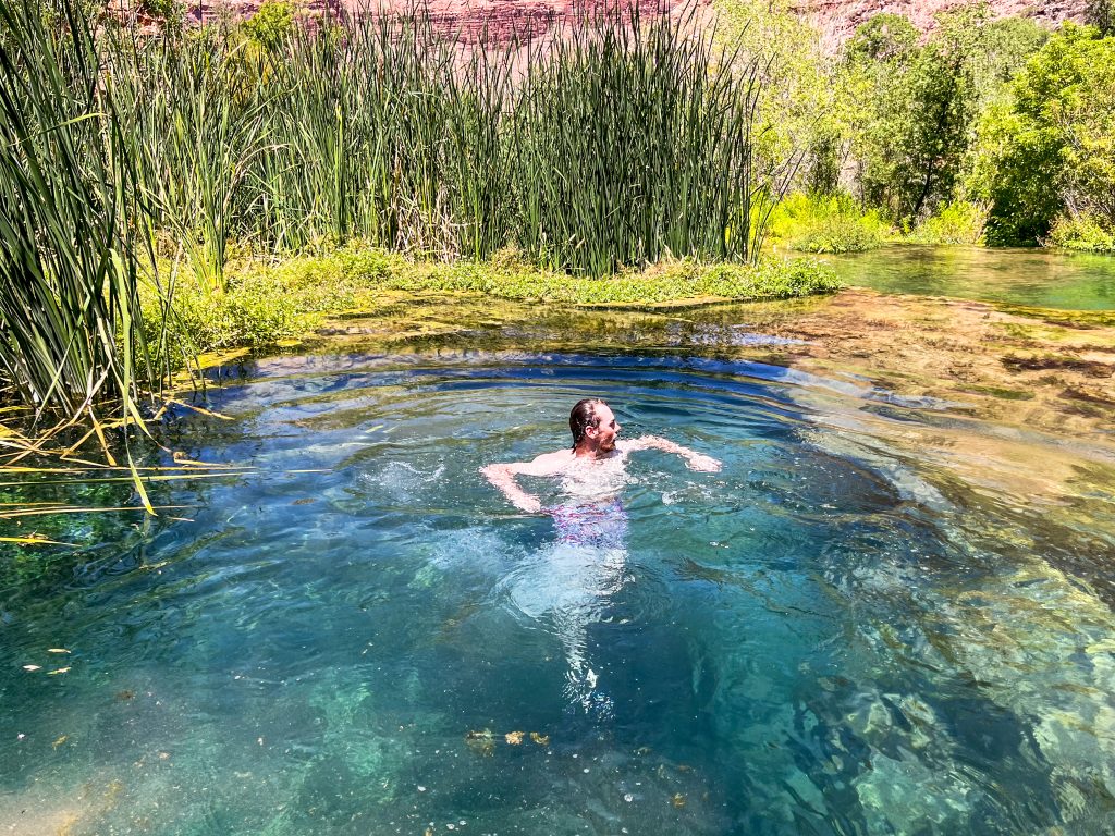 Person swimming in a clear turquoise pool along Havasu Creek, surrounded by reeds and canyon walls, cooling off near the waterfalls