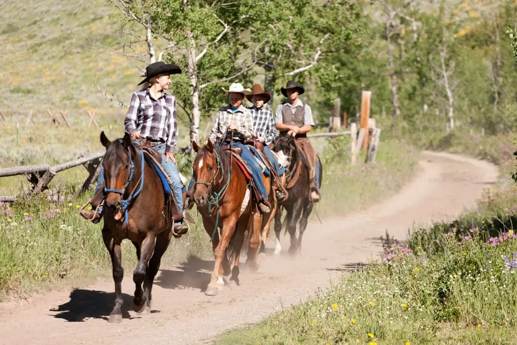 Group of riders on horseback following a trail through foothills and wildflowers