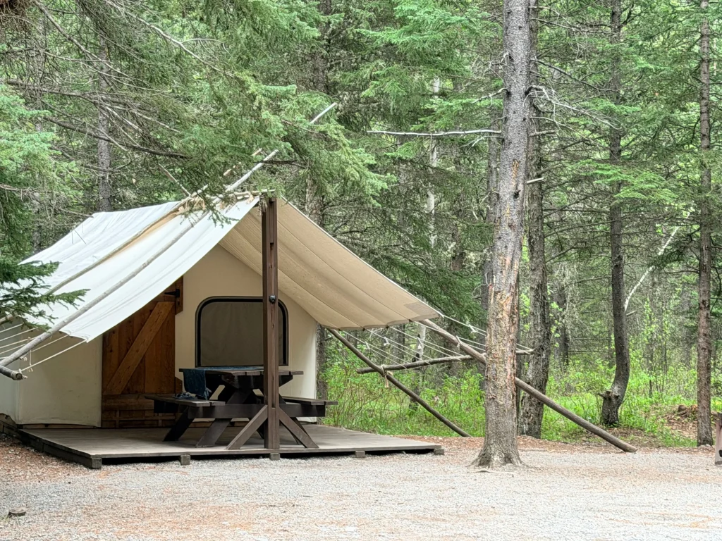 Canvas glamping tent surrounded by trees at Sundance by Basecamp